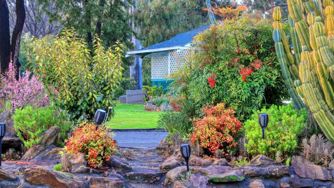 Azalea Motel Coonabarabran Eksteriør bilde