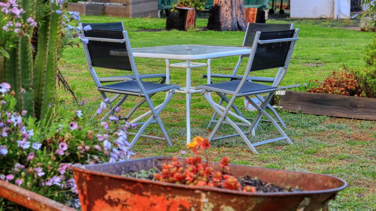 Azalea Motel Coonabarabran Eksteriør bilde