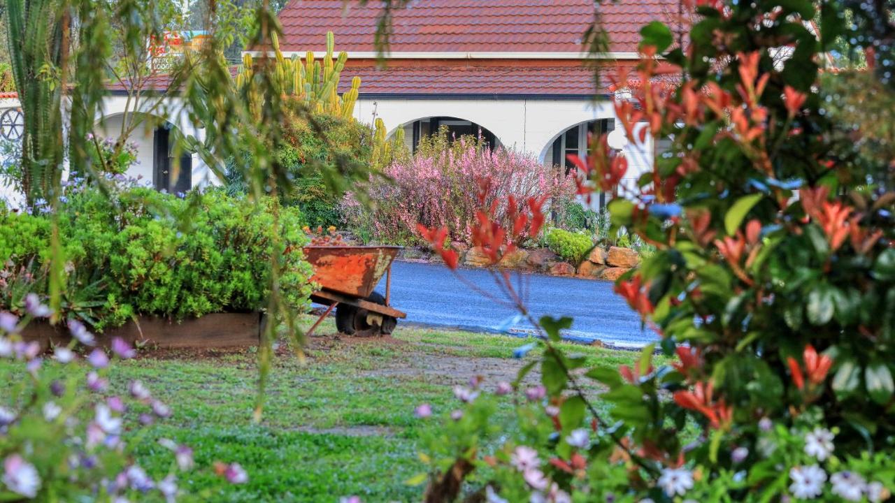Azalea Motel Coonabarabran Eksteriør bilde
