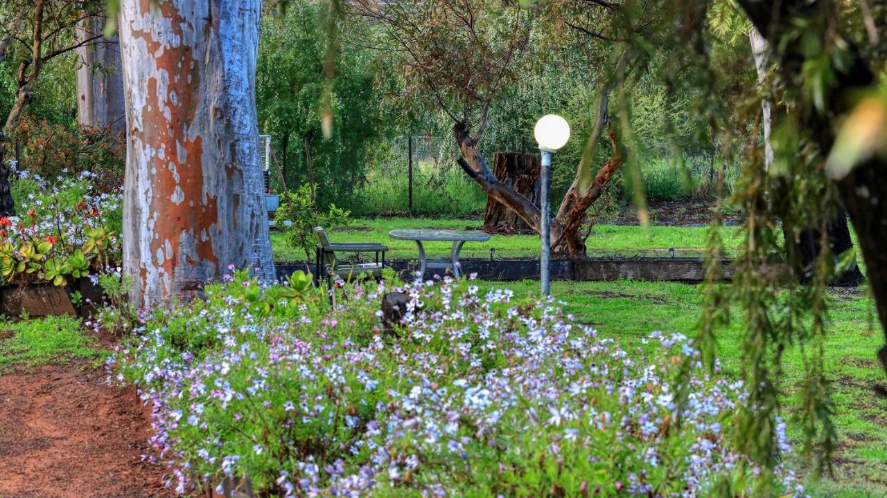 Azalea Motel Coonabarabran Eksteriør bilde