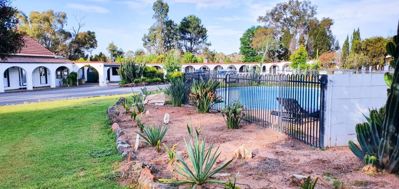 Azalea Motel Coonabarabran Eksteriør bilde