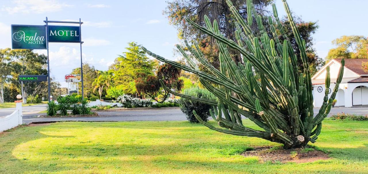 Azalea Motel Coonabarabran Eksteriør bilde
