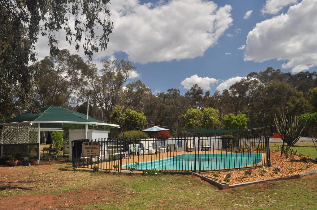 Azalea Motel Coonabarabran Eksteriør bilde