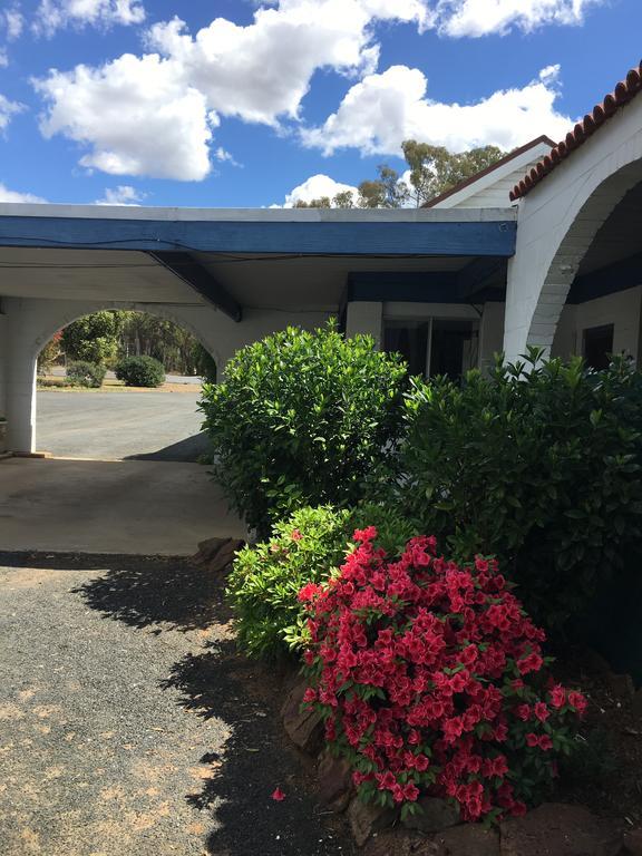 Azalea Motel Coonabarabran Eksteriør bilde