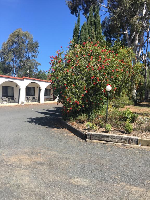 Azalea Motel Coonabarabran Eksteriør bilde