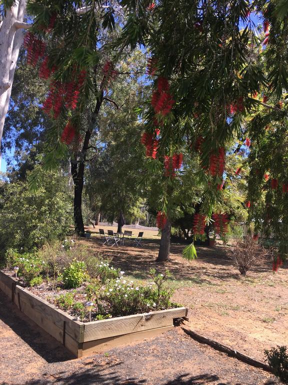 Azalea Motel Coonabarabran Eksteriør bilde