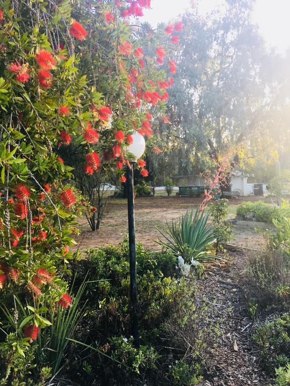 Azalea Motel Coonabarabran Eksteriør bilde